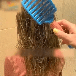Hair Detangler Brush
